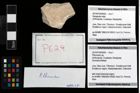 Foto (Objekt + Etikett) von Pithonoton sp.  (NHMW-GEO-2014-0194-0629)